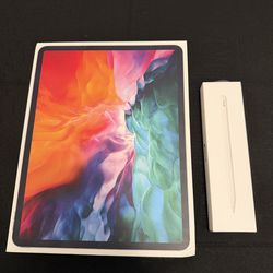 iPad Pro 4th gen 512gb cellular+wifi