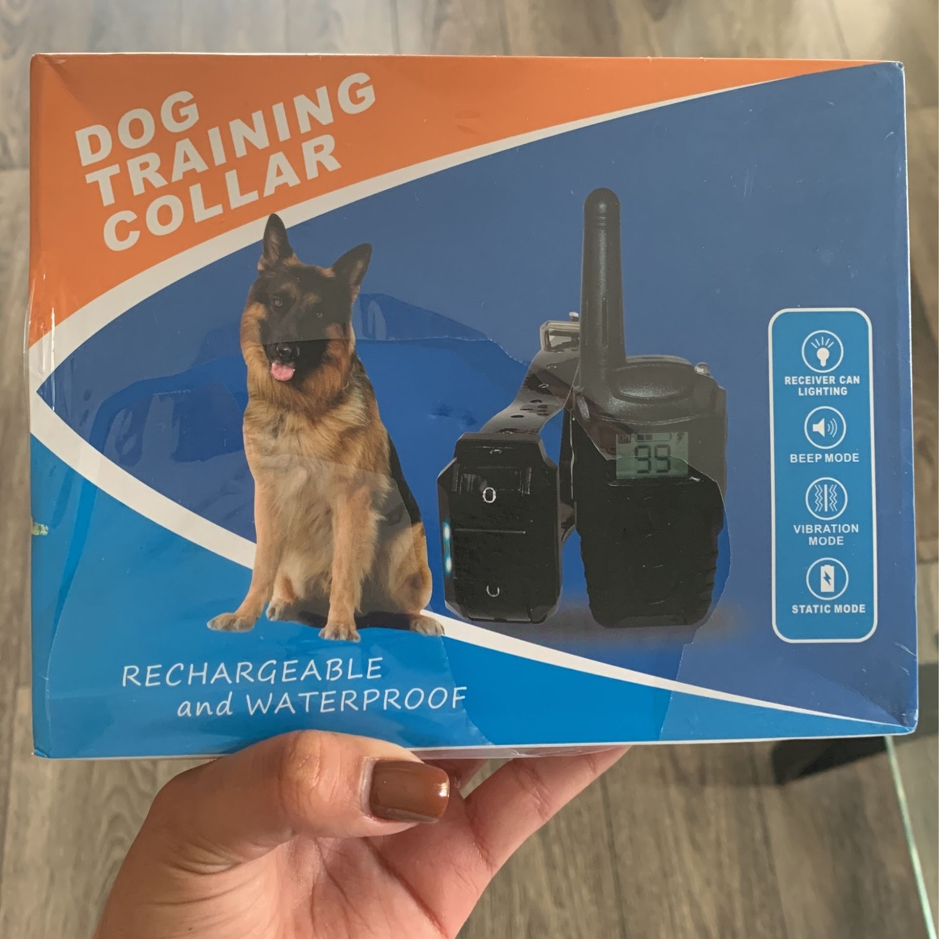 Dog Training 