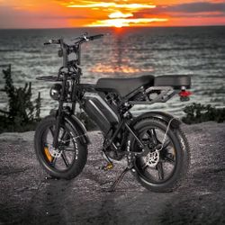V20 Ebike New Production With 2 Seats