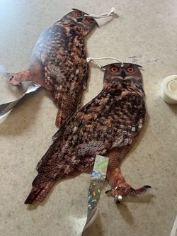 2 New Owl Decoy