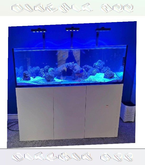 Large Aquarium Tank - Roomy & Beautiful foreign line