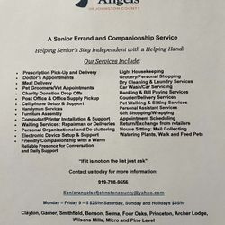 Senior's Angel's Errand And Companionship Services