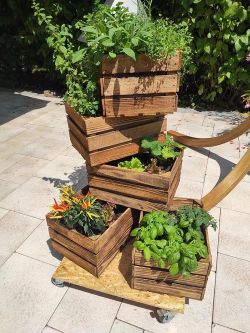 Rustic Wooden Crates for Party Decor, Baby Showers & Photo Shoots ($5)