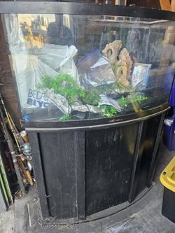 Large 180 Fish Tank With Stand And All Accessories