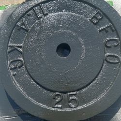 2 Of 25 Pounds Weights an excellent condition