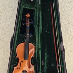 Violin (with a Broken String)