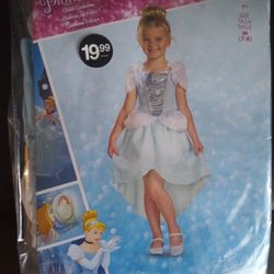 Disney Princess Cinderella Costume 