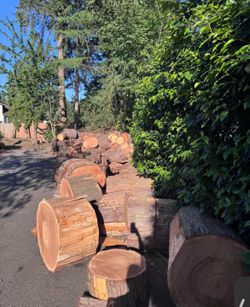 Free firewood rounds. Fir. Available immediately for pickup