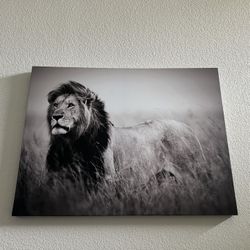 Lion Canvas 