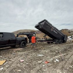 Dumpster Rental/Junk Removal
