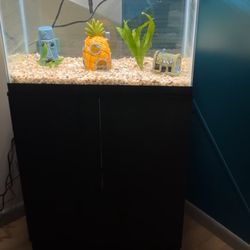 Fish Tank With Stand 