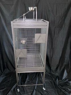 New bird age