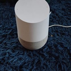 Google Home Speaker