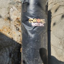 50 Lb Punching Bag