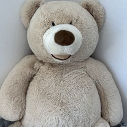 Big Teddy bear 