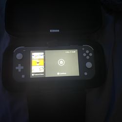 Nintendo switch lite