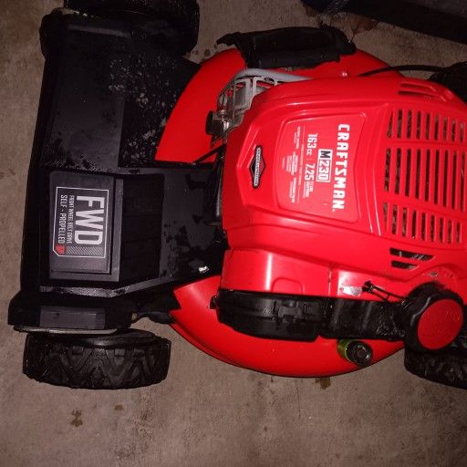 Mower Self Propell Working Working Working 250.00