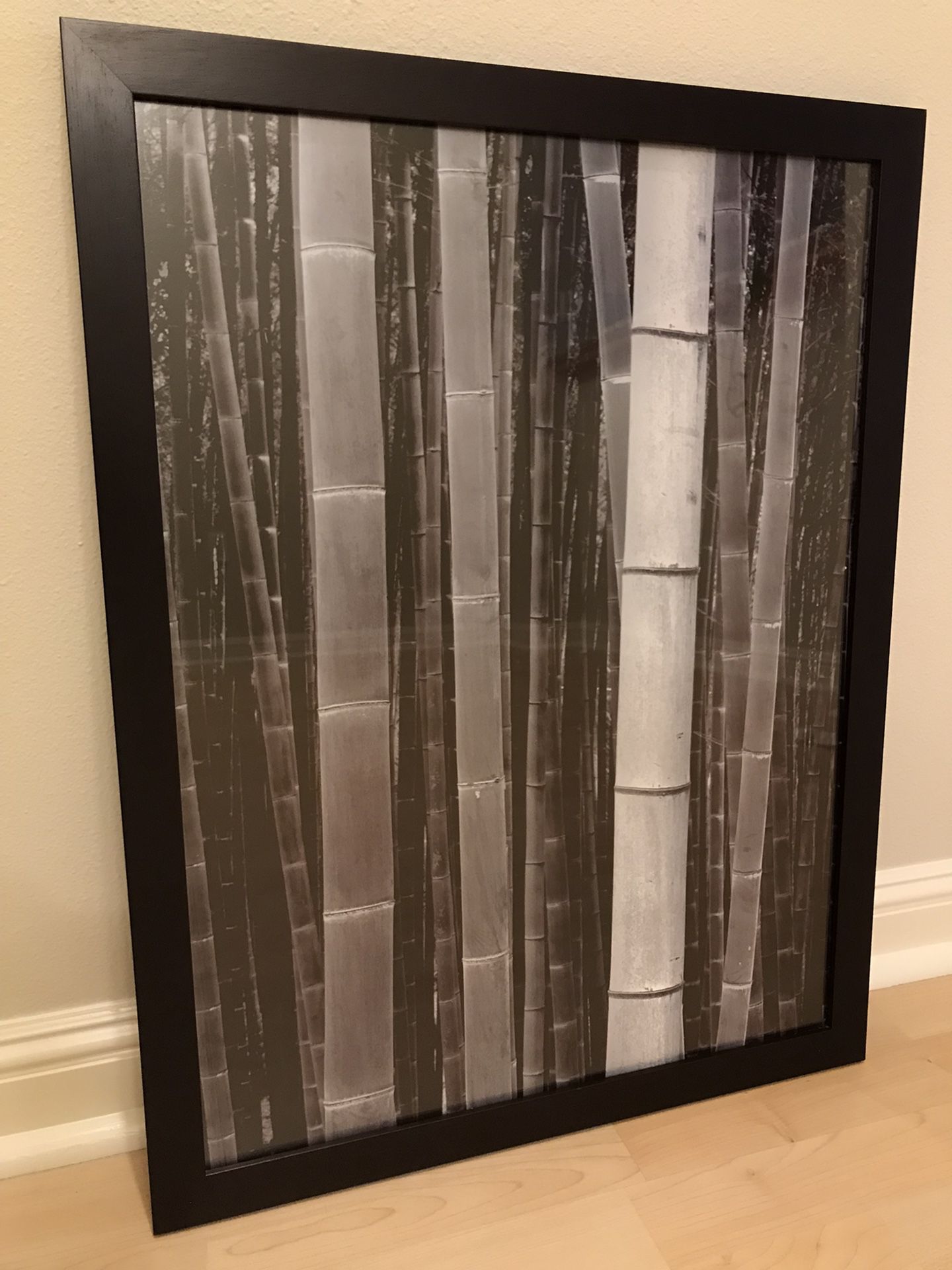 Professionally Framed Black & White Photo Print, Bamboo