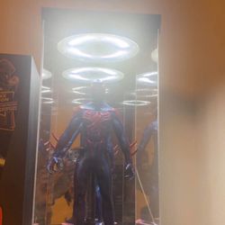 Rotating Display Case Led