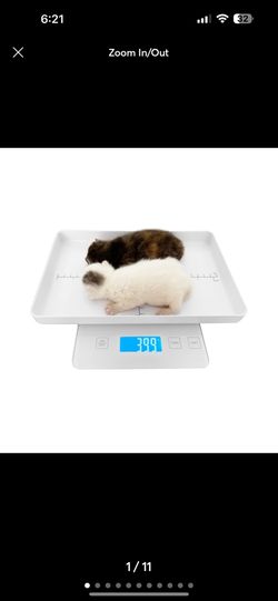 Digital Pet Scale for Small Animal, Whelping Scale,Mini Precision Gram Weight