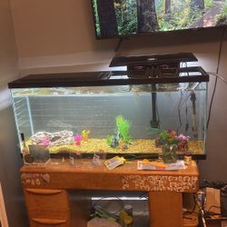 55 Gallon Fish Tank