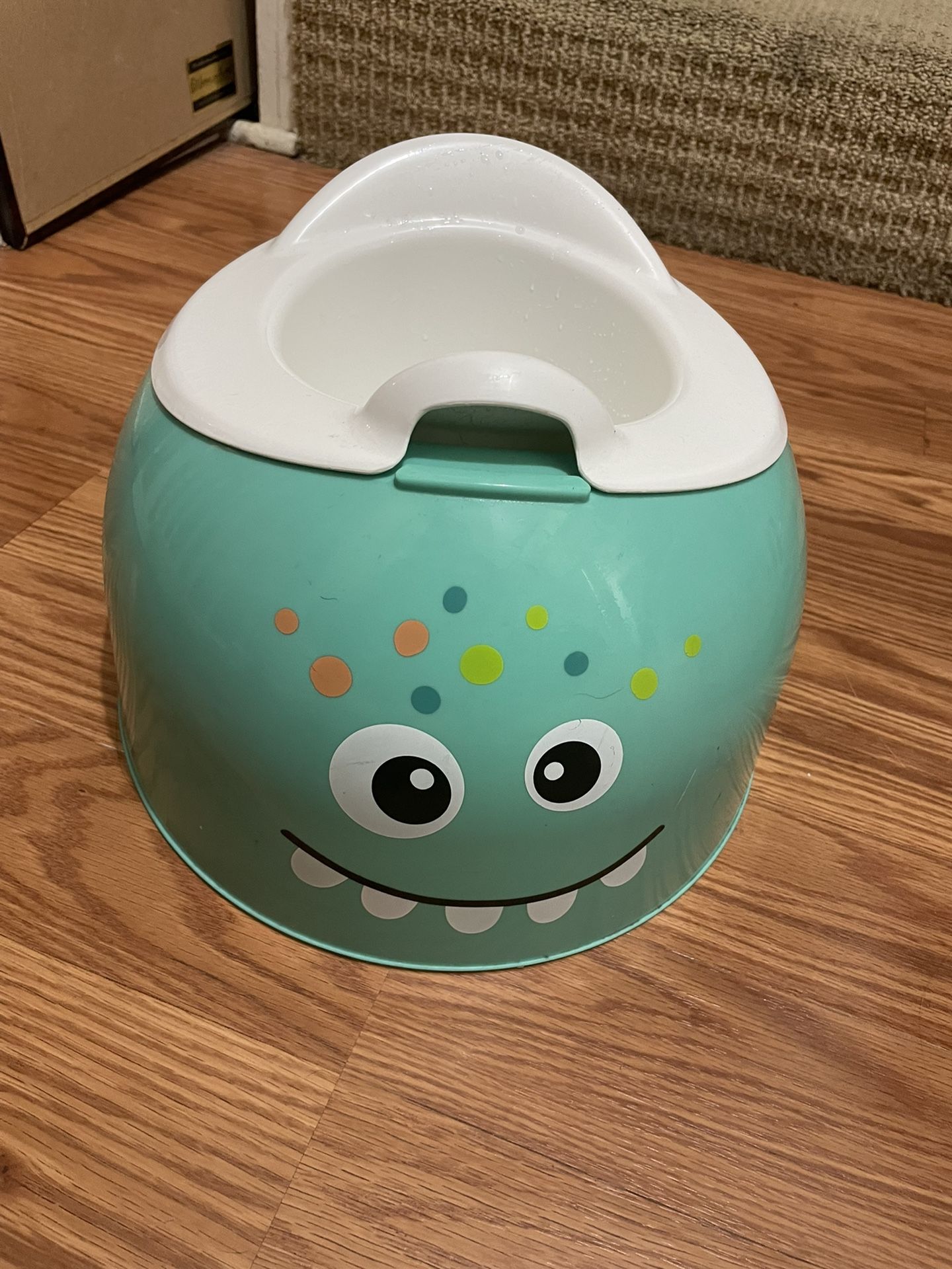 Potty Chair 