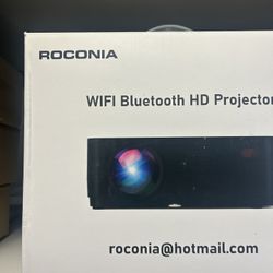 Projector
