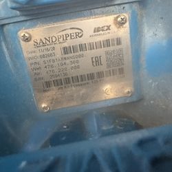 sandpiper