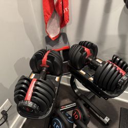 BowFlex adjustable dumbbells with stand