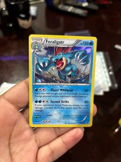 FERALIGATR 17/119