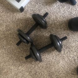 Two 40s Dumbbells