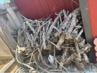 Fire wood