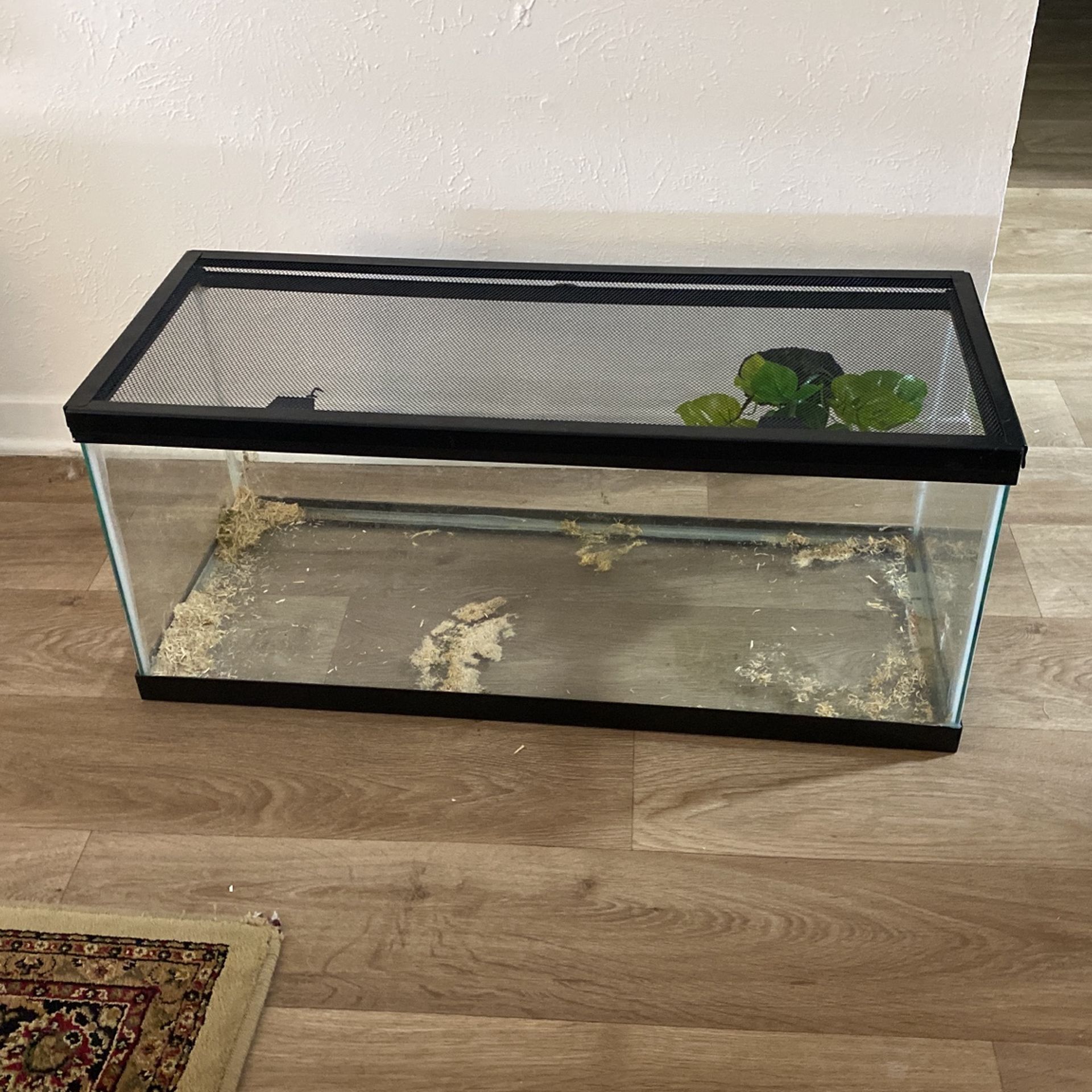 20 Gallon Tank