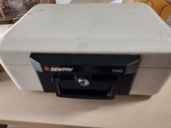 Sentry Safe