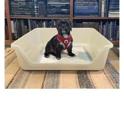 Puppy Dog Pee Pad Tray