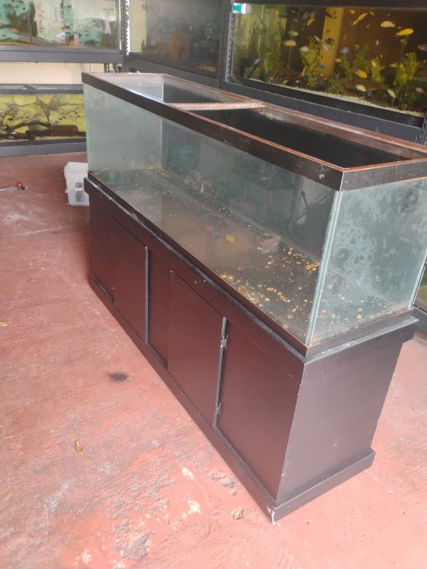 Fish Tank 125