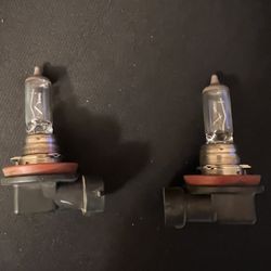H11 Headlight Bulbs