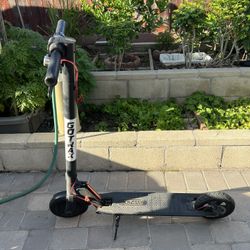 Gotrax Electric Scooter