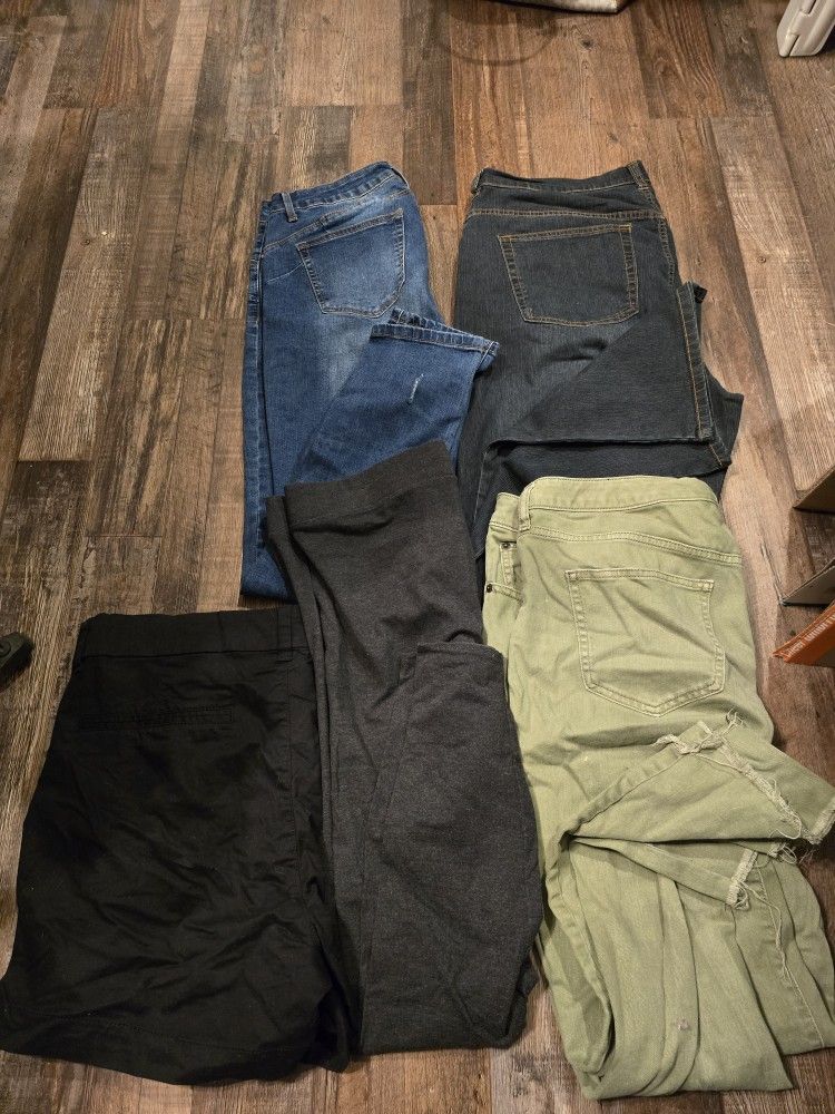 Womens Size 14 Jeans/Pants/Shorts Lot