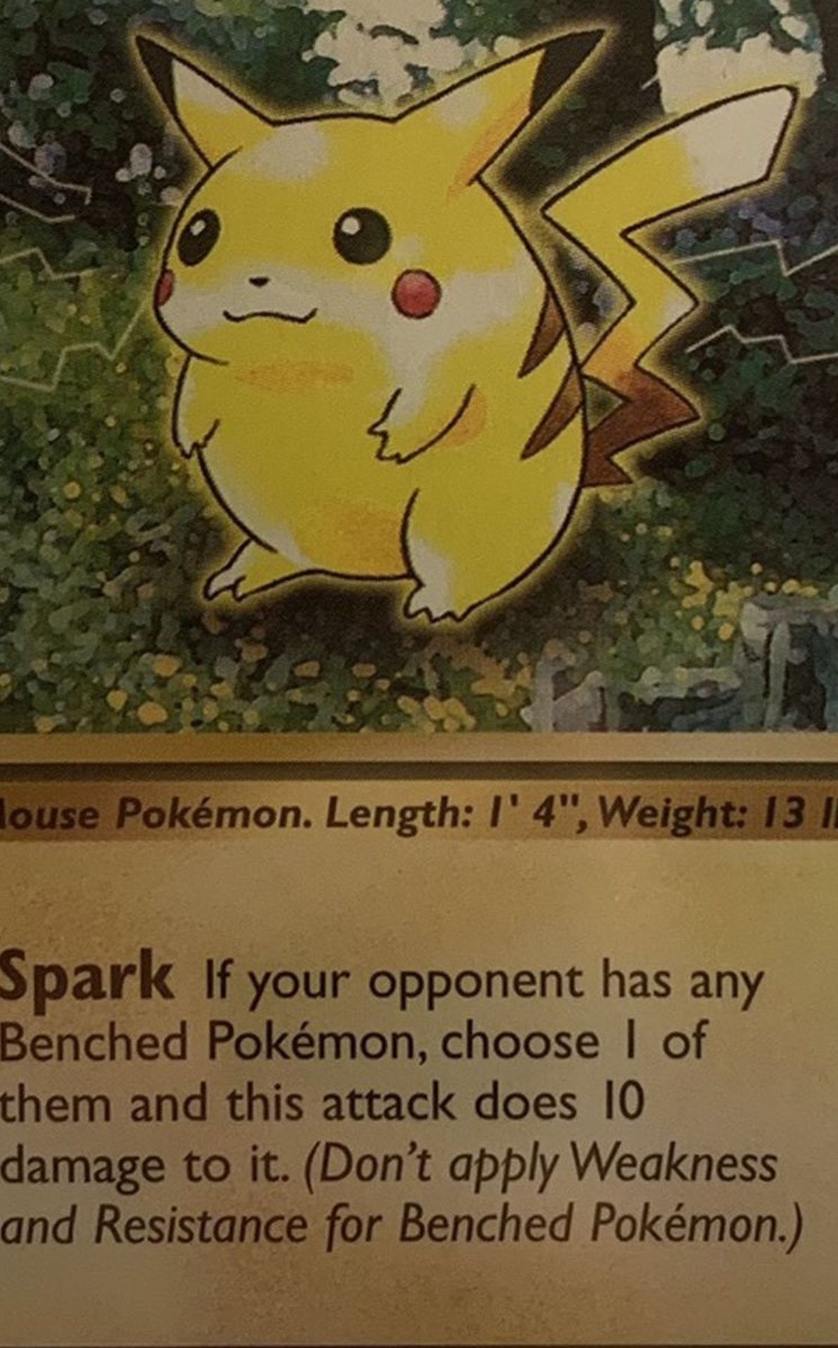 Pokémon Pikachu Jungle Base Set