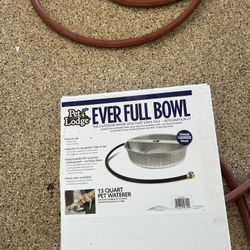 Water Bowl 