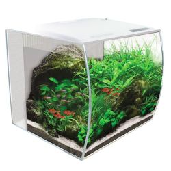 Fish tank. Fluval flex 15 gal. White. $40 obo