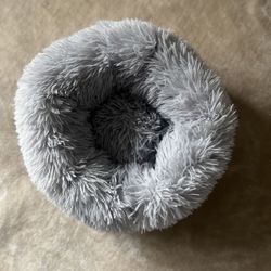 New Round Beds For Kitties 