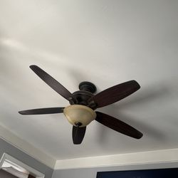 Hunter Ceiling Fan