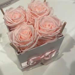 Colombian Eternal Flowers 