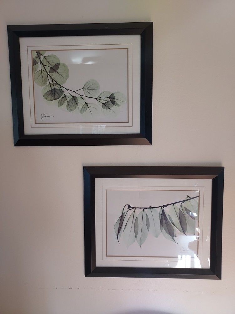 Framed Leaf Prints