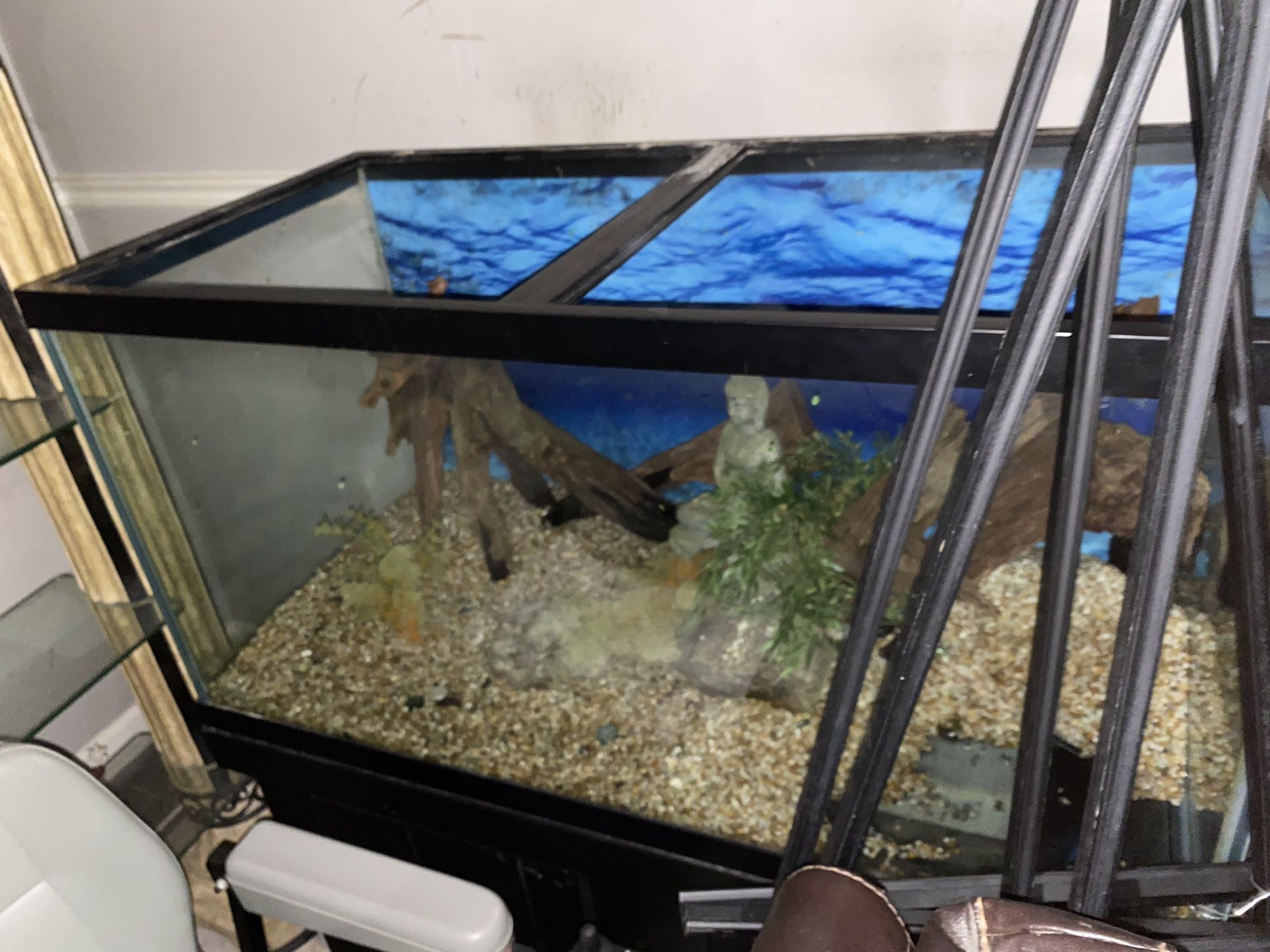 100 gallon Fish tank