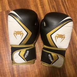 Venum Boxing Gloves 12oz