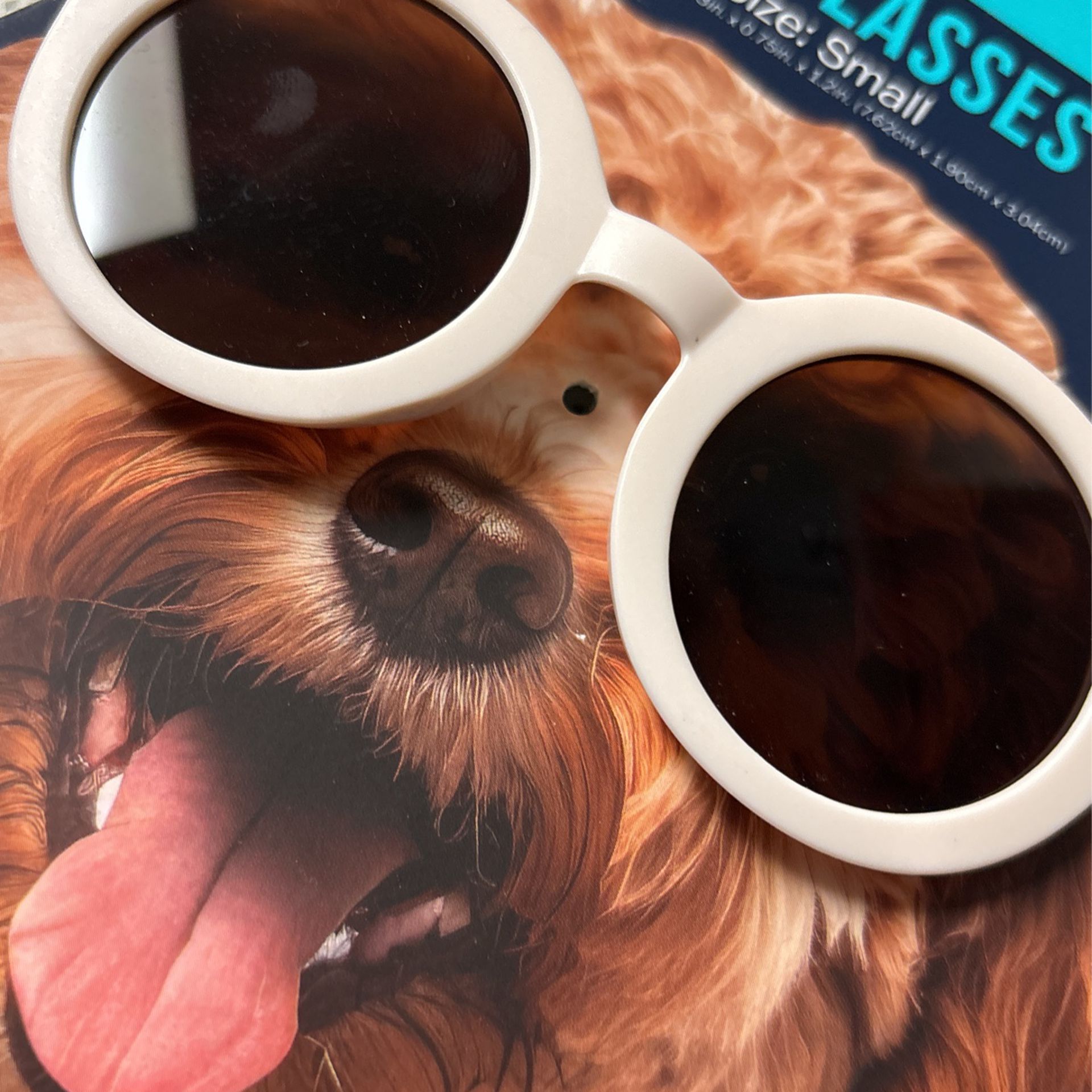 Pet /Dog 🐶 Sunglasses 😎 Brand New ! 