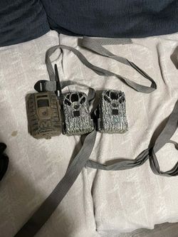 Trail Cameras